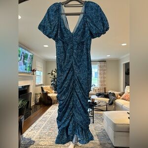 NWT Amur Dress